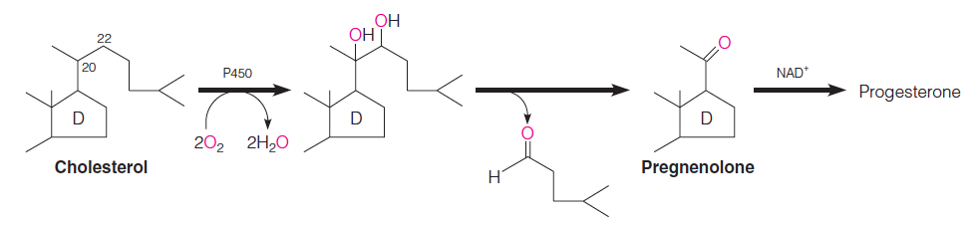 Pregnenolone