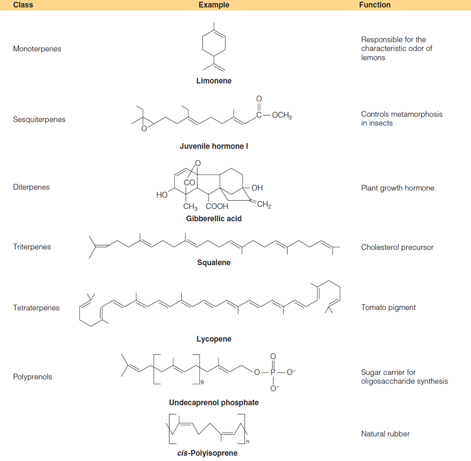 Some terpene compounds