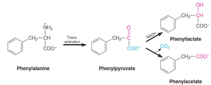 Phenylketonuria (PKU)