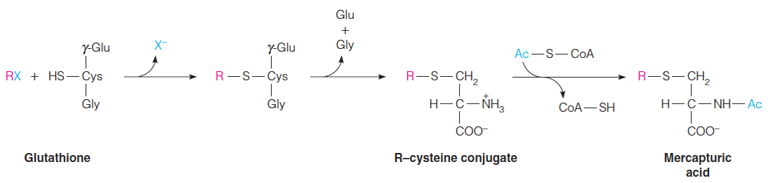 Glutathione reaction with compound (denoted RX)