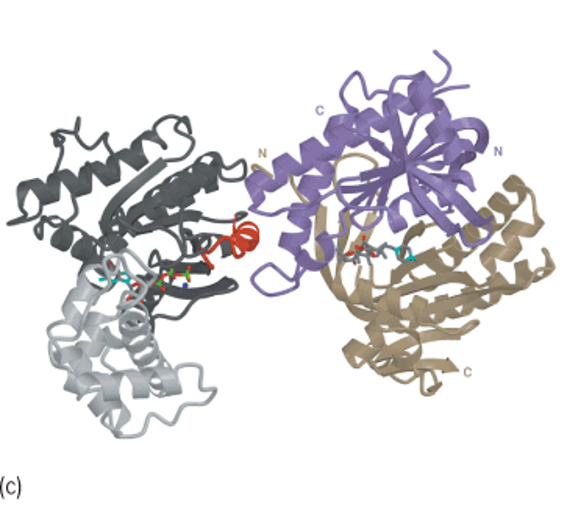 Structures of G proteins; Gsa-GTPgS