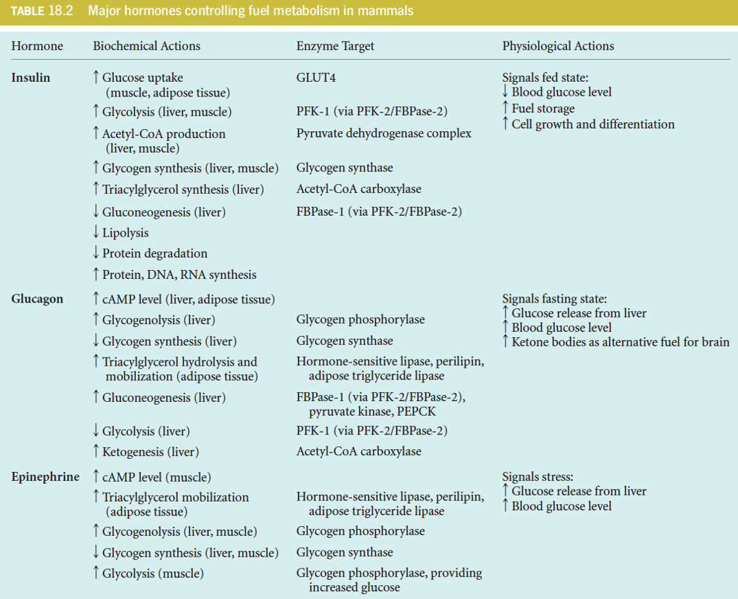 Hormonal Regulation of Fuel Metabolism