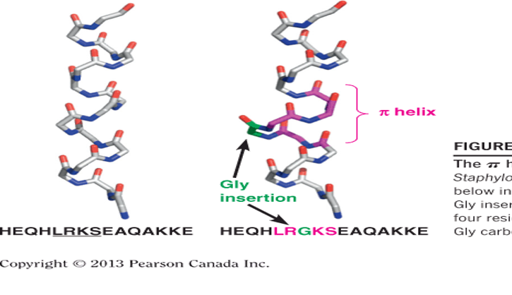 The p-helix conformation