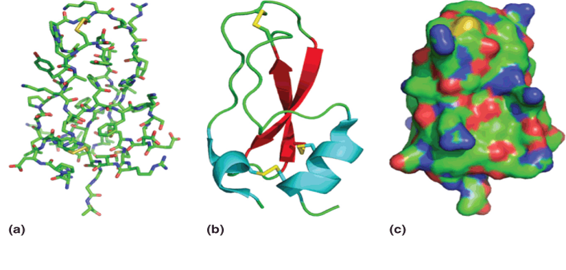 The tertiary structure of BPTI