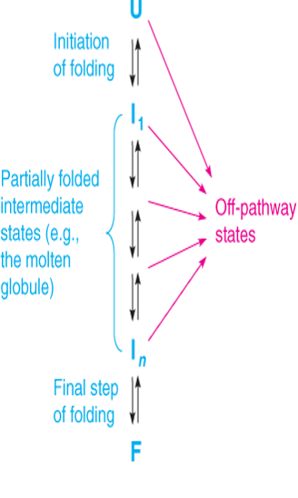 Protein folding energy landscapes