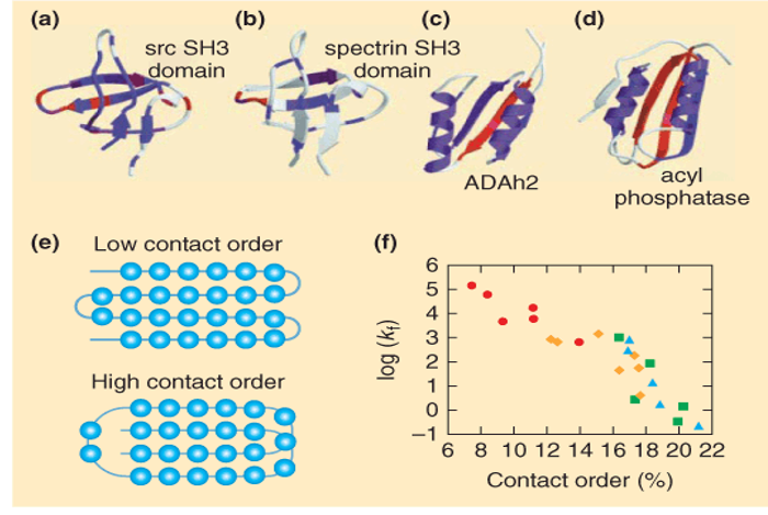 Protein topology and folding rates