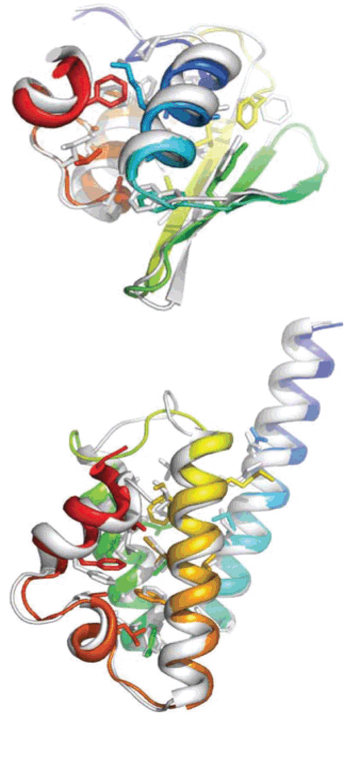 Comparison of de novo predictions to X-ray crystal structures