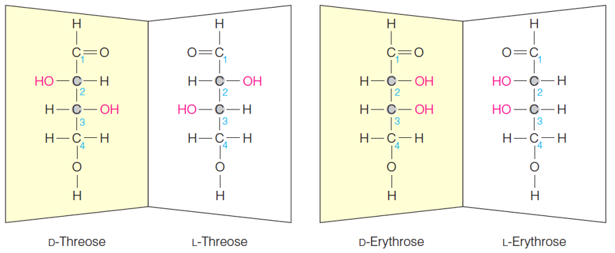 Stereochemistry of aldotetroses