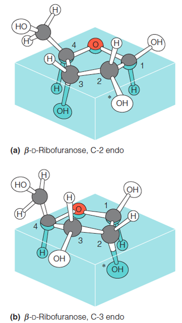 Conformational isomers