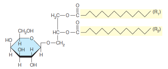 Glycoglycerolipids