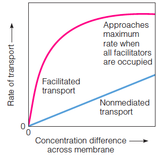 The rate of facilitated diffusion