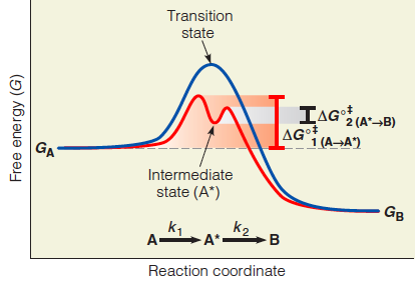 Importance of intermediate states