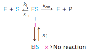 Uncompetitive inhibitor equation