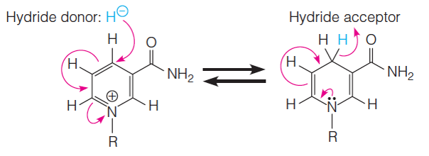 NADH acts as a reducing agent in several reactions