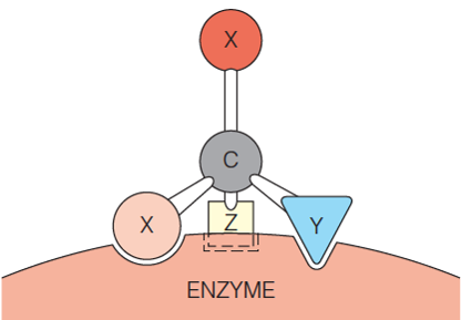 Stereospecificity conferred by an enzyme