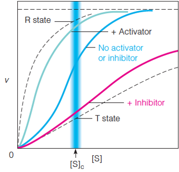 Allosteric enzymes 