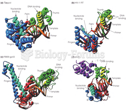 Comparison of DNA polymerase structures with primer and template bound