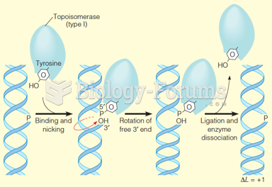 Action of a type I topoisomerase