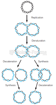 Topoisomerase action in termination of replication