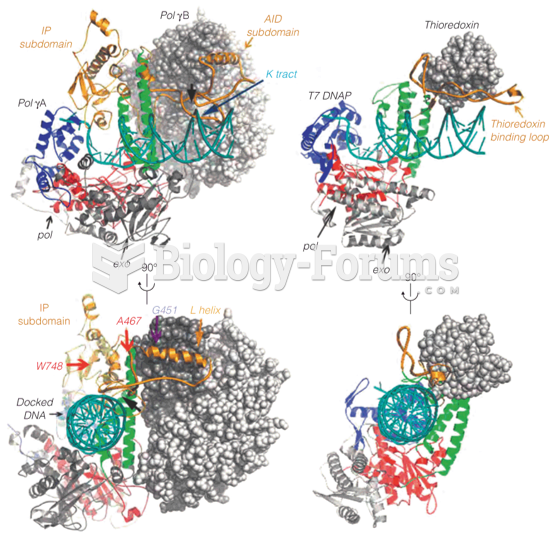 Structures of human DNA polymerase g (left) and T7 phage DNA polymerase (right) holoenzymes