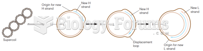 Strand displacement model for mitochondrial DNA replication