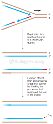 The problem of completing the 5 end in copying a linear DNA molecule