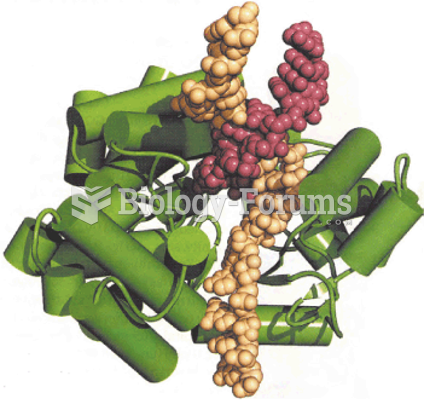 Crystal structure of telomerase catalytic subunit from the red flour beetle