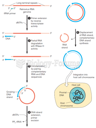 Simplified view of retrovirus life cycle