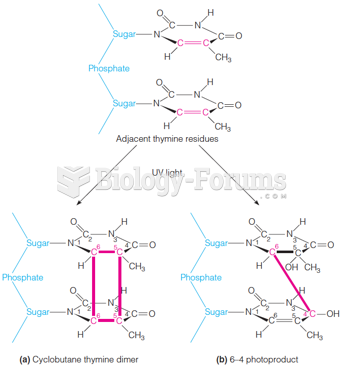 Structures of pyrimidine dimer photoproducts