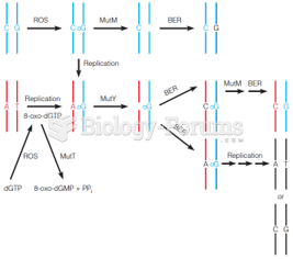 Actions of mutM, mutT, and mutY gene products in countering the mutagenic effect of 8-oxoguanine -oG