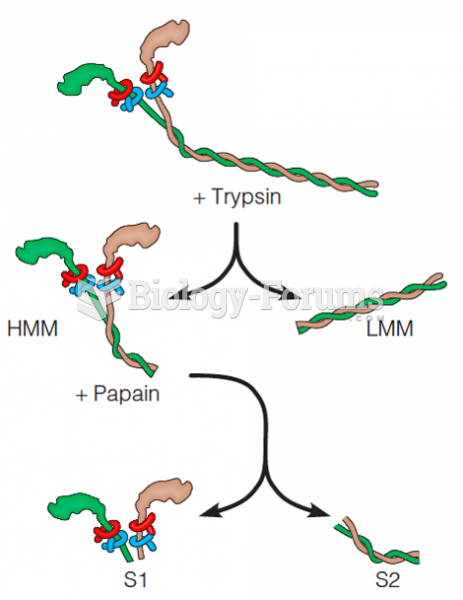 Dissection of myosin II by proteases