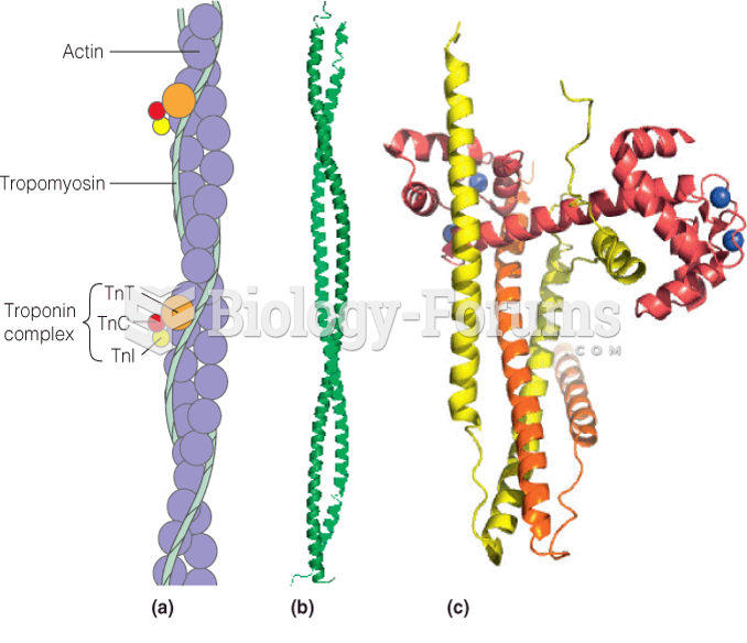 F-actin and its associated proteins