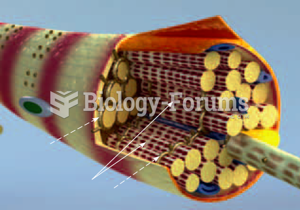 Structure of a myofiber (muscle cell)
