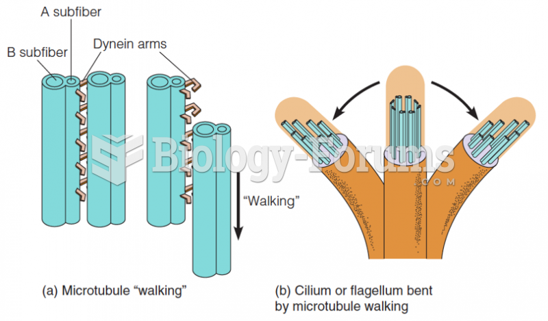 Model for the bending of cilia and flagella