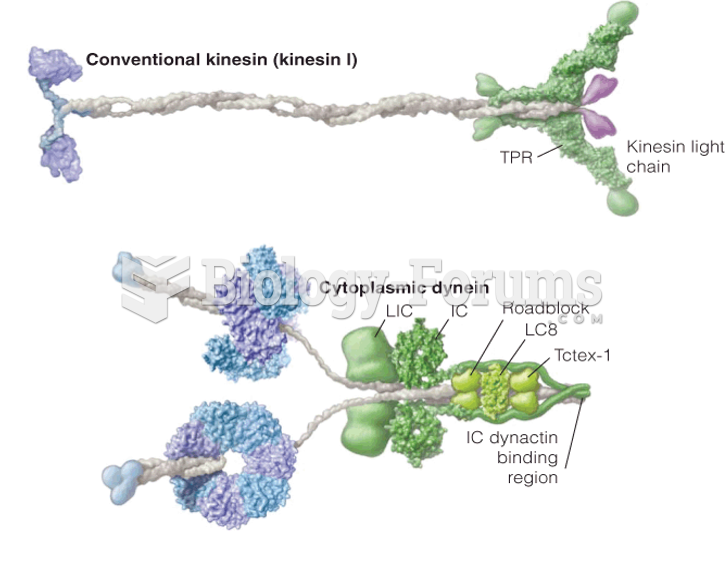 Structural models of kinesin I and cytoplasmic dynein