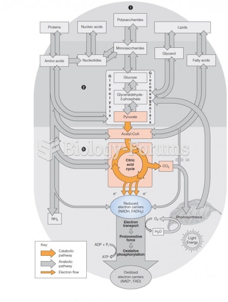 Overview of Pyruvate Oxidation and the Citric Acid Cycle