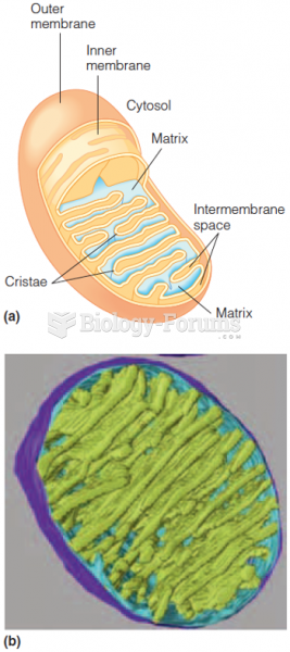 Schematic of a mitochondrion and Computer model generated from electron tomograms of a mitochondrion