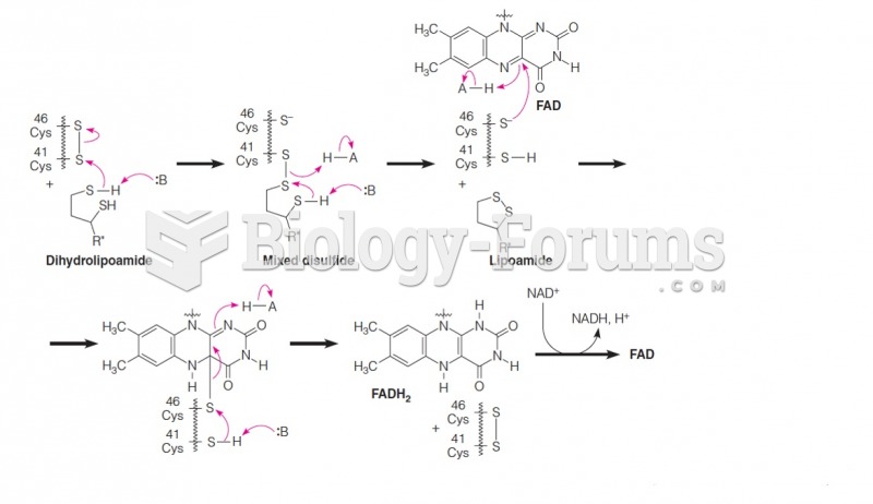 Mechanism of the reoxidation of dihydrolipoamide catalyzed by dihydrolipoamide dehydrogenase