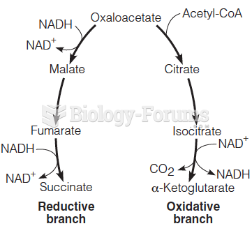 The citric acid cycle controlled  by NAD+ and NADH