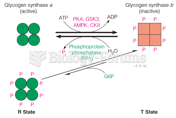 Control of glycogen synthase activity