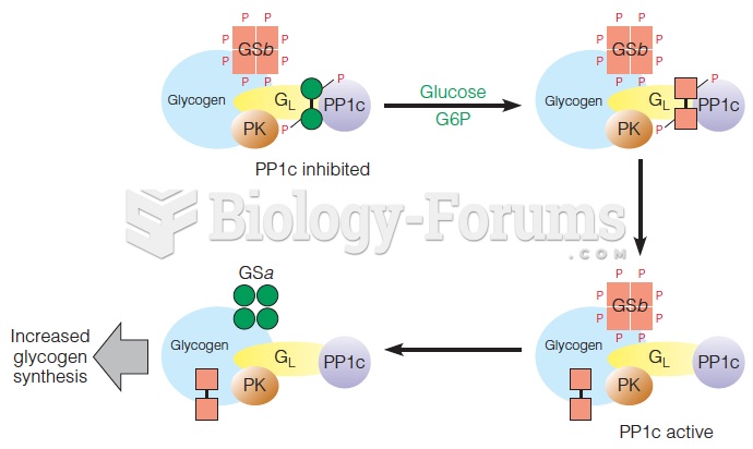 Regulation of phosphoprotein phosphatase 1 (PP1) in liver
