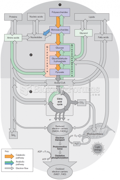 Catabolic and anabolic processes in anaerobic carbohydrate metabolism