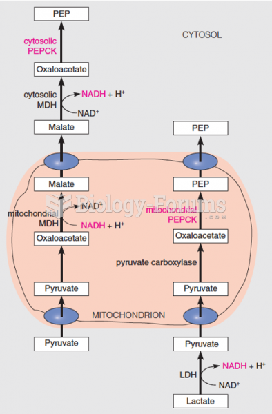 PEPCK isozymes provide alternative routes to PEP and cytoplasmic reducing equivalents