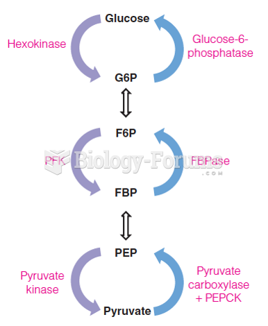 Comparative substrate cycles in glycolysis/gluconeogenesis