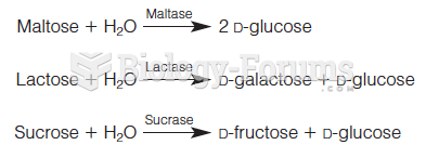 The three disaccharides most abundant in foods are maltose, lactose, and sucrose