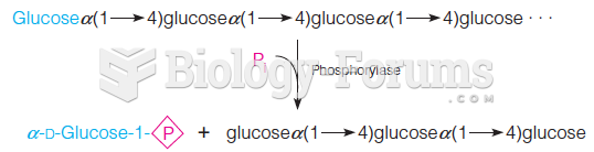 Glycogen phosphorylase