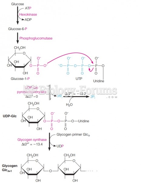 Pathway for conversion of glucose monomers to polymeric glycogen