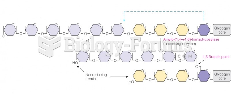 The branching process in glycogen synthesis