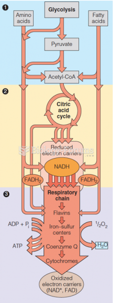 Glycolysis and the citric acid cycle