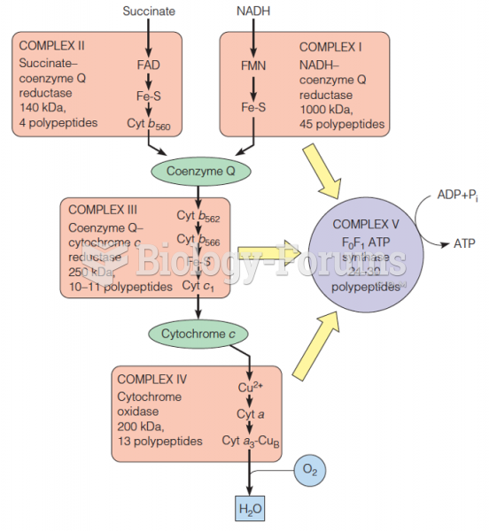 Multiprotein complexes in the mitochondrial respiratory assembly